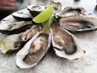 Some Pacific oysters on a plate